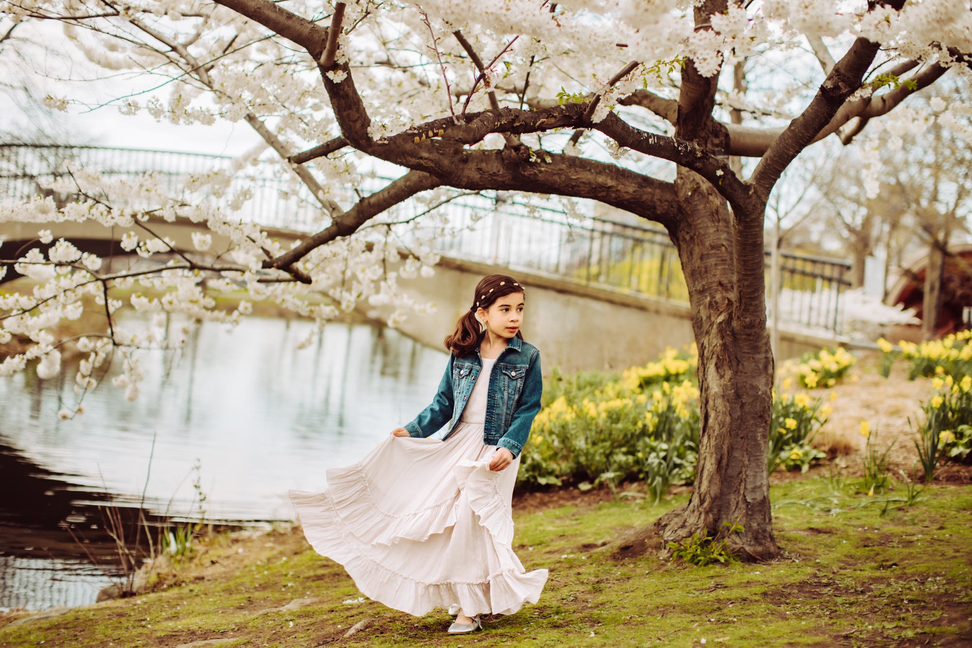 Girl under a tree during Cherry Blossoms in Spring at Cambrige, Boston Family Photographer-1-2