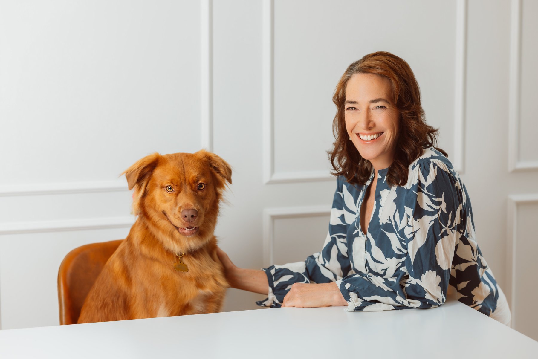 Dog photos in studio boston-2
