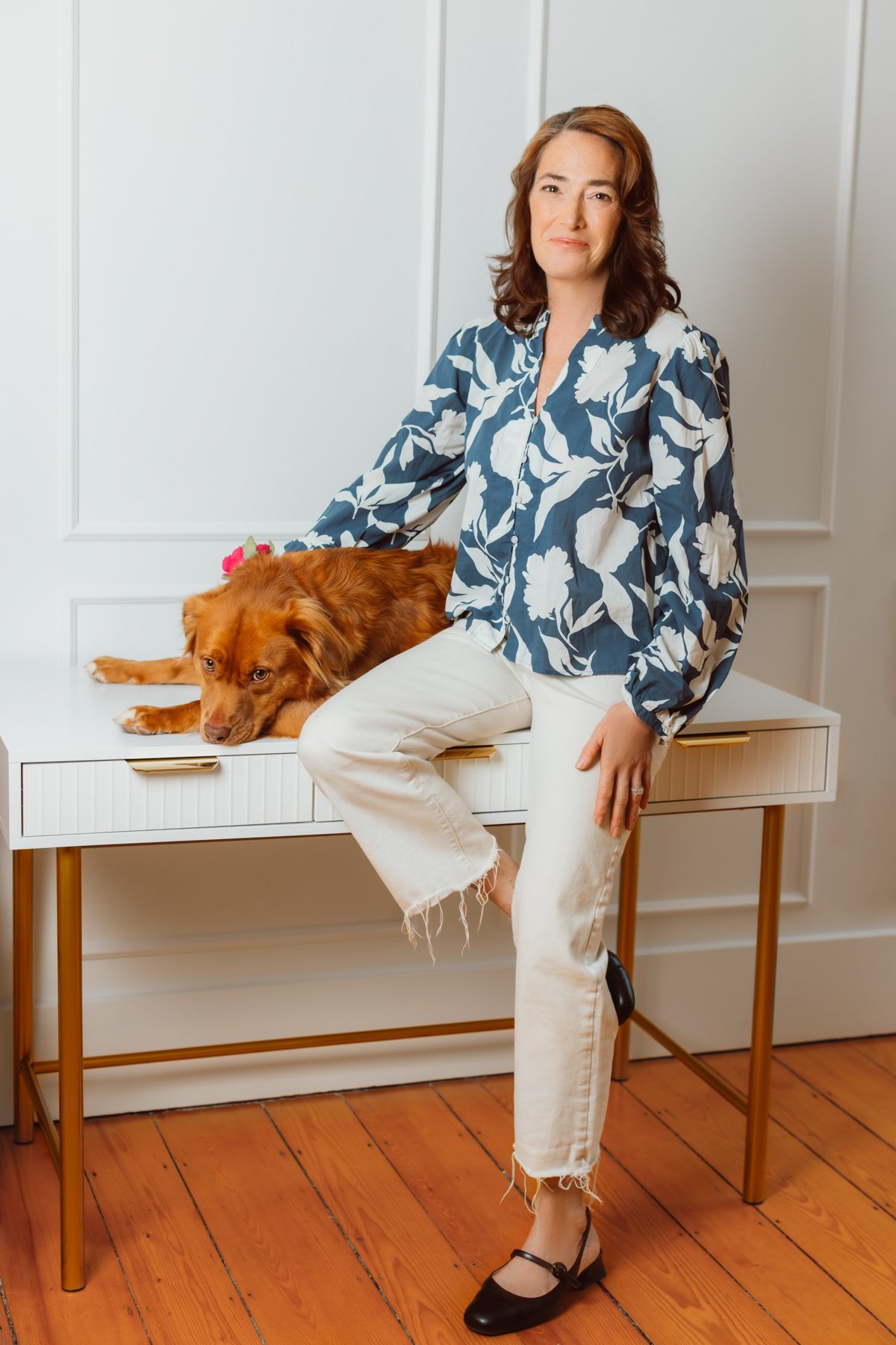 Dog photos in studio boston-5