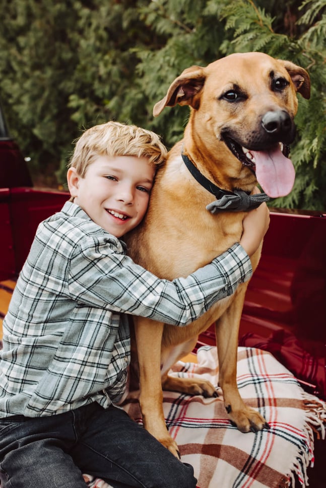 Dog portrait outdoor in Boston, Massachusetts-14