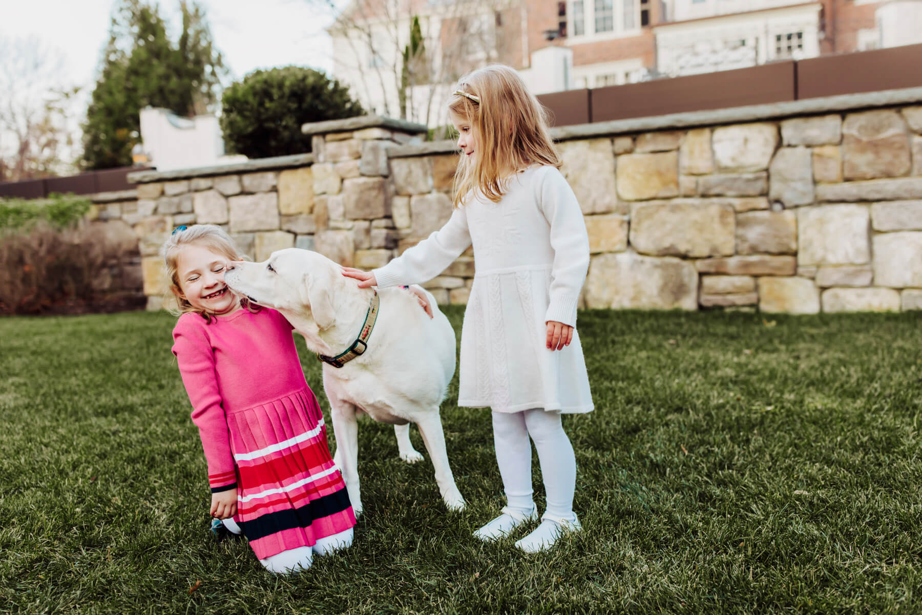 Dog portrait outdoor in Boston, Massachusetts-19