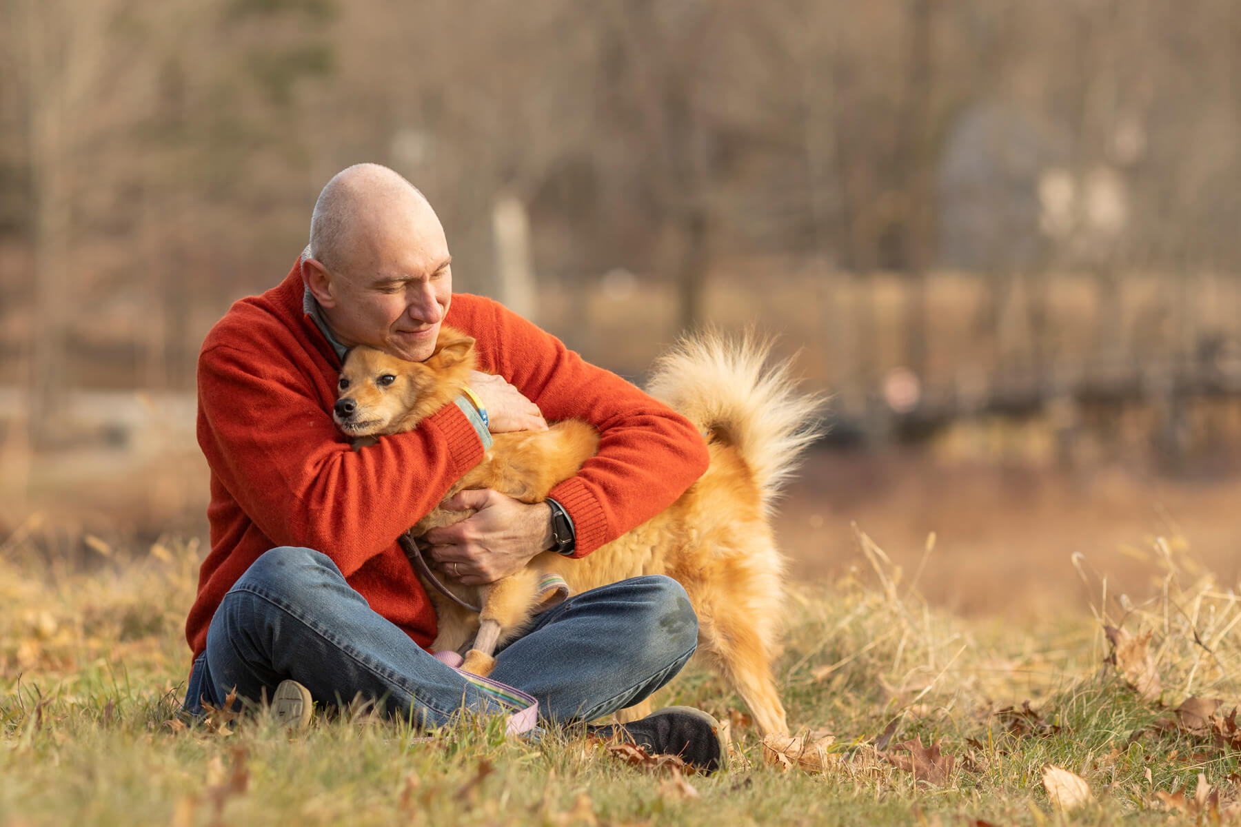 Dog portrait outdoor in Boston, Massachusetts-2