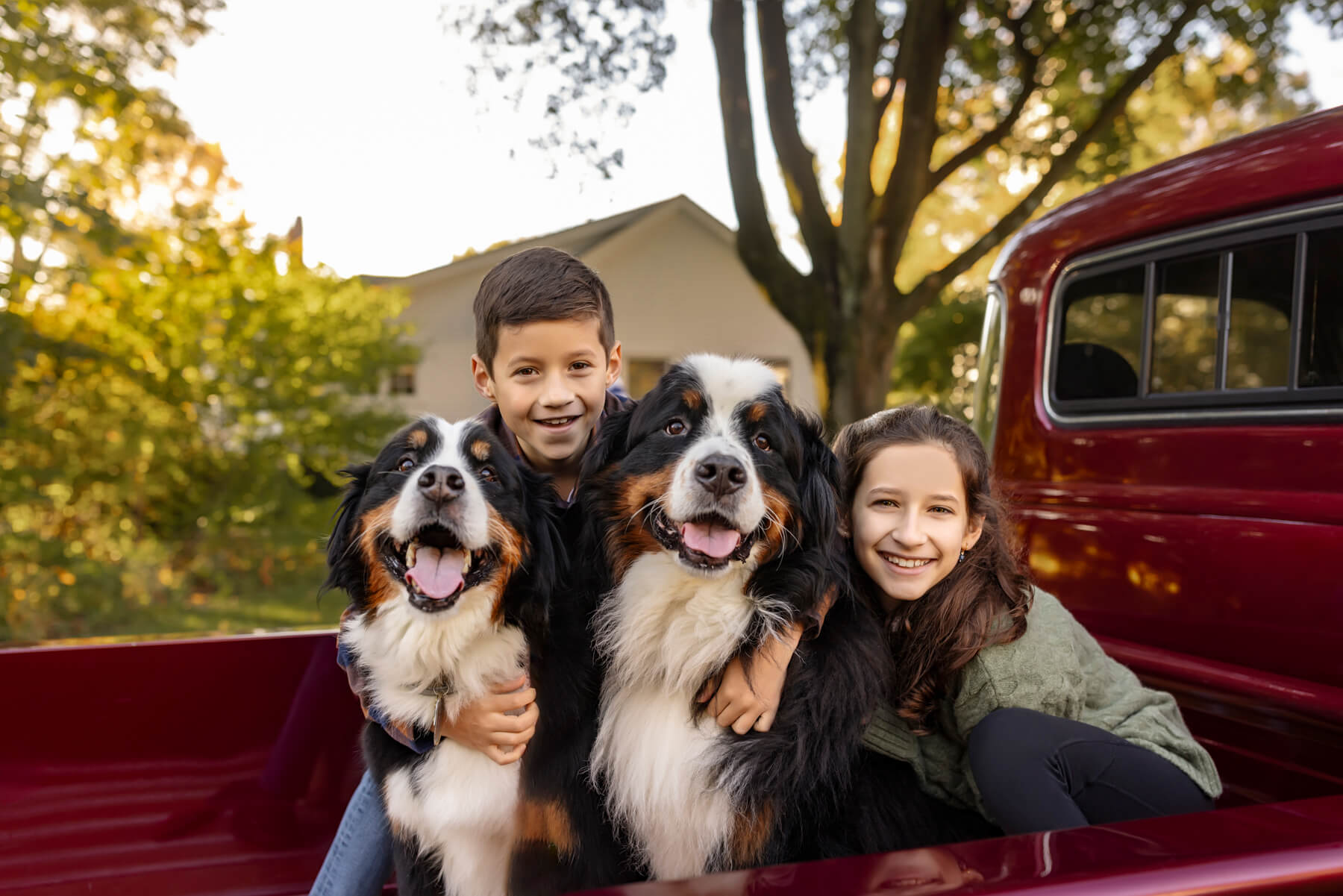 Dog portrait outdoor in Boston, Massachusetts-23