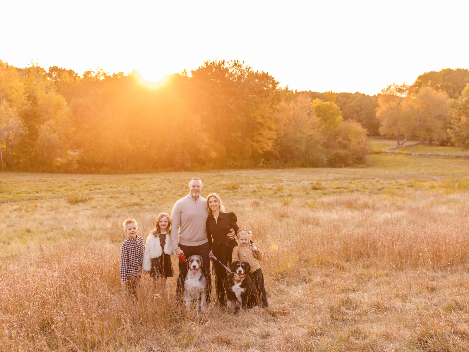 lexington MA fall sunset family portraits