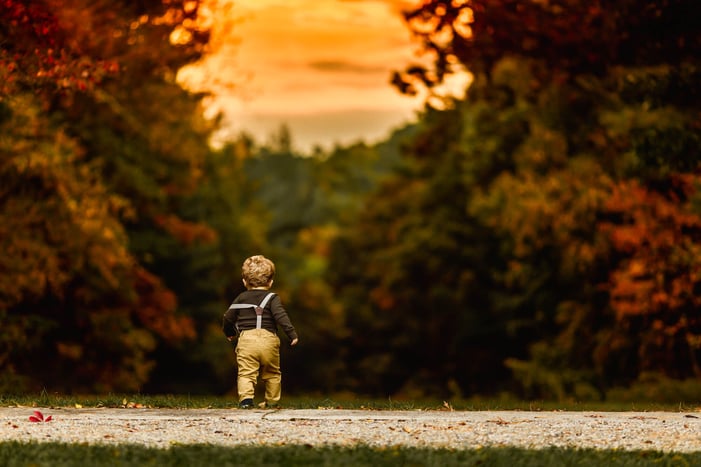 Fall - Boston Family Photographer - Autum walking kid