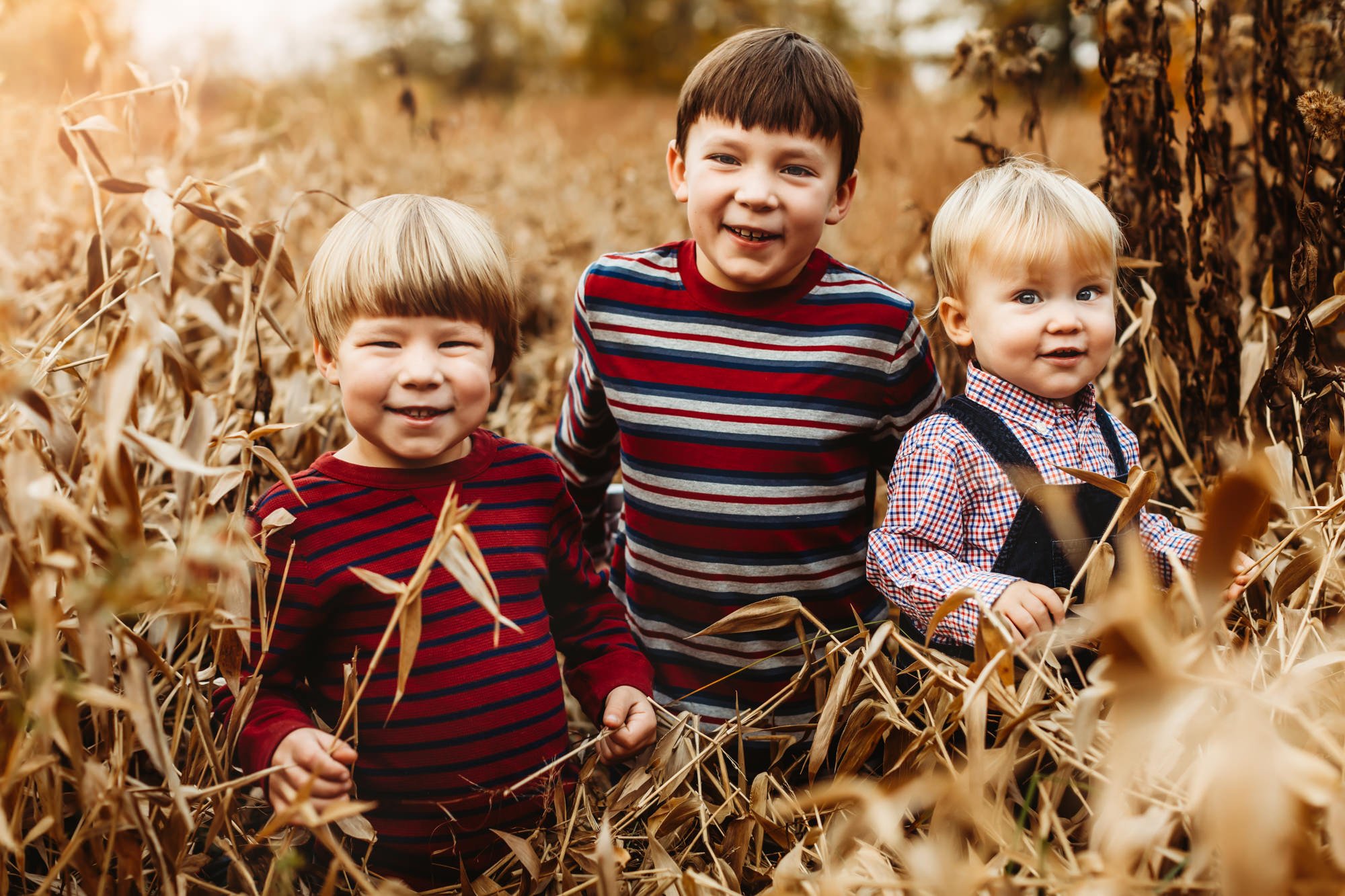 Fall - Boston Family Photographer - brothers