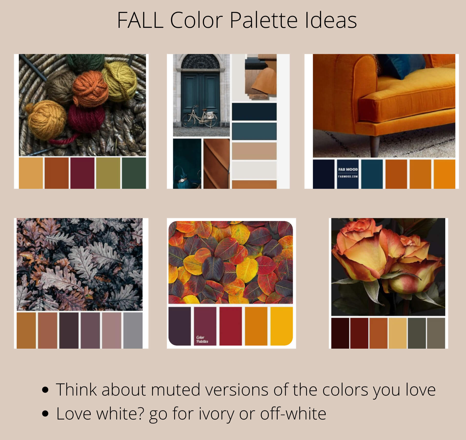 Fall Color Palette Ideas - Andre Toro Photography