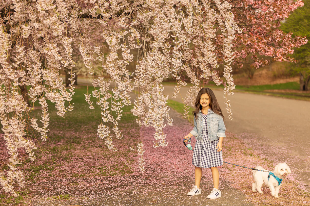 Spring Fine Art Family Portraits, Boston Family Photographer 7