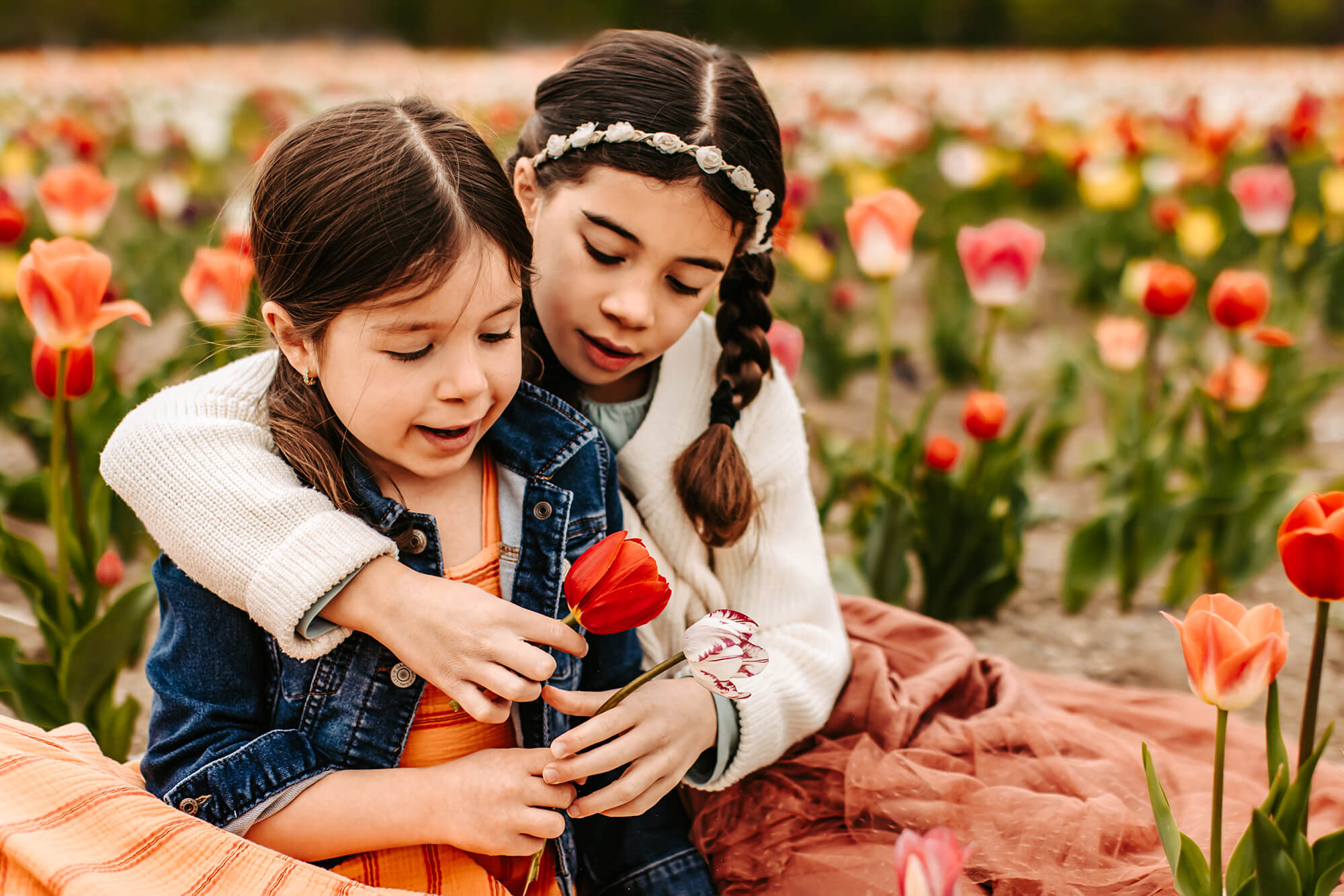 Spring-Boston-Family-Session---tulips-3