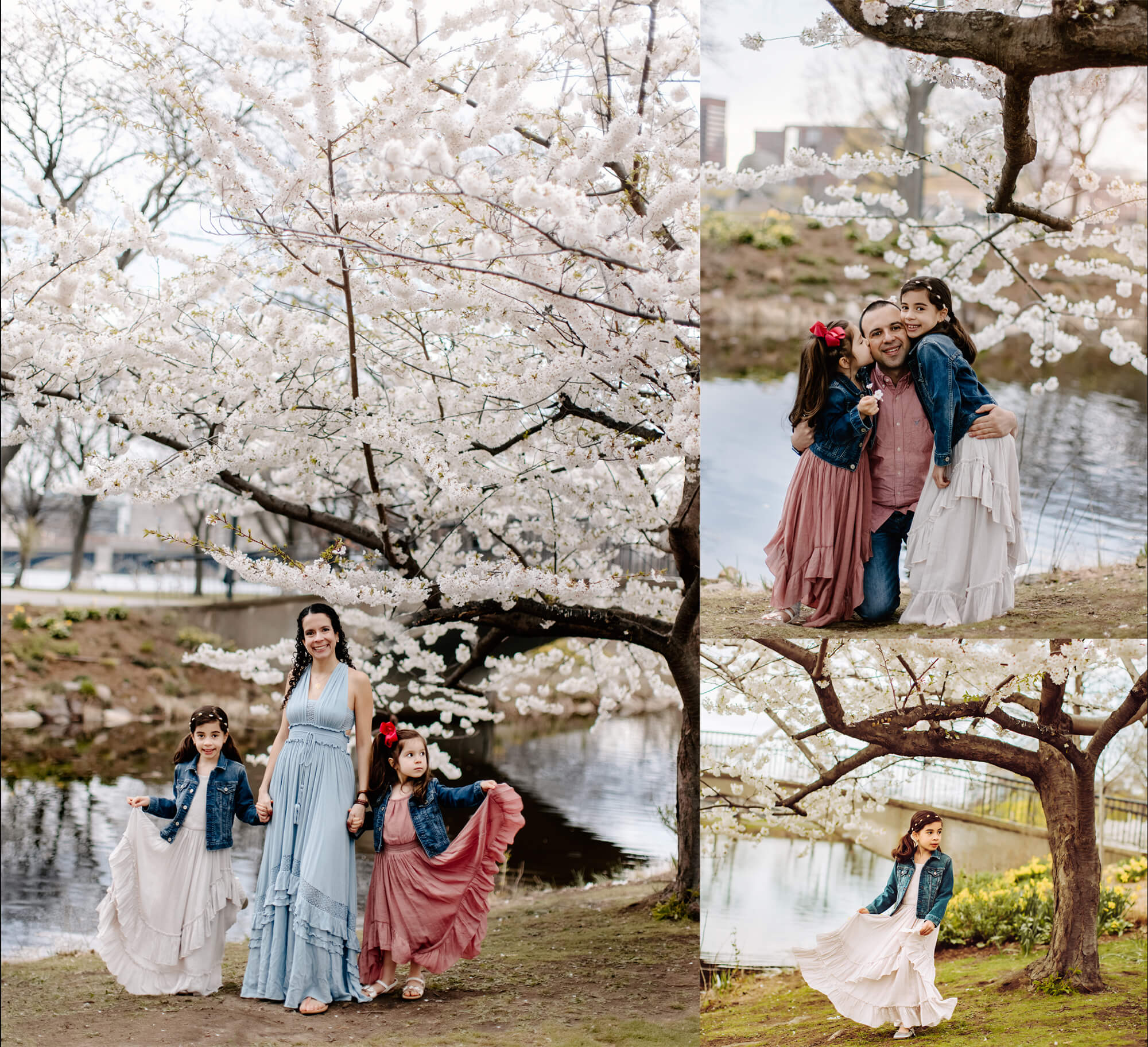 Spring-Collage---Andre-Toro-Photography