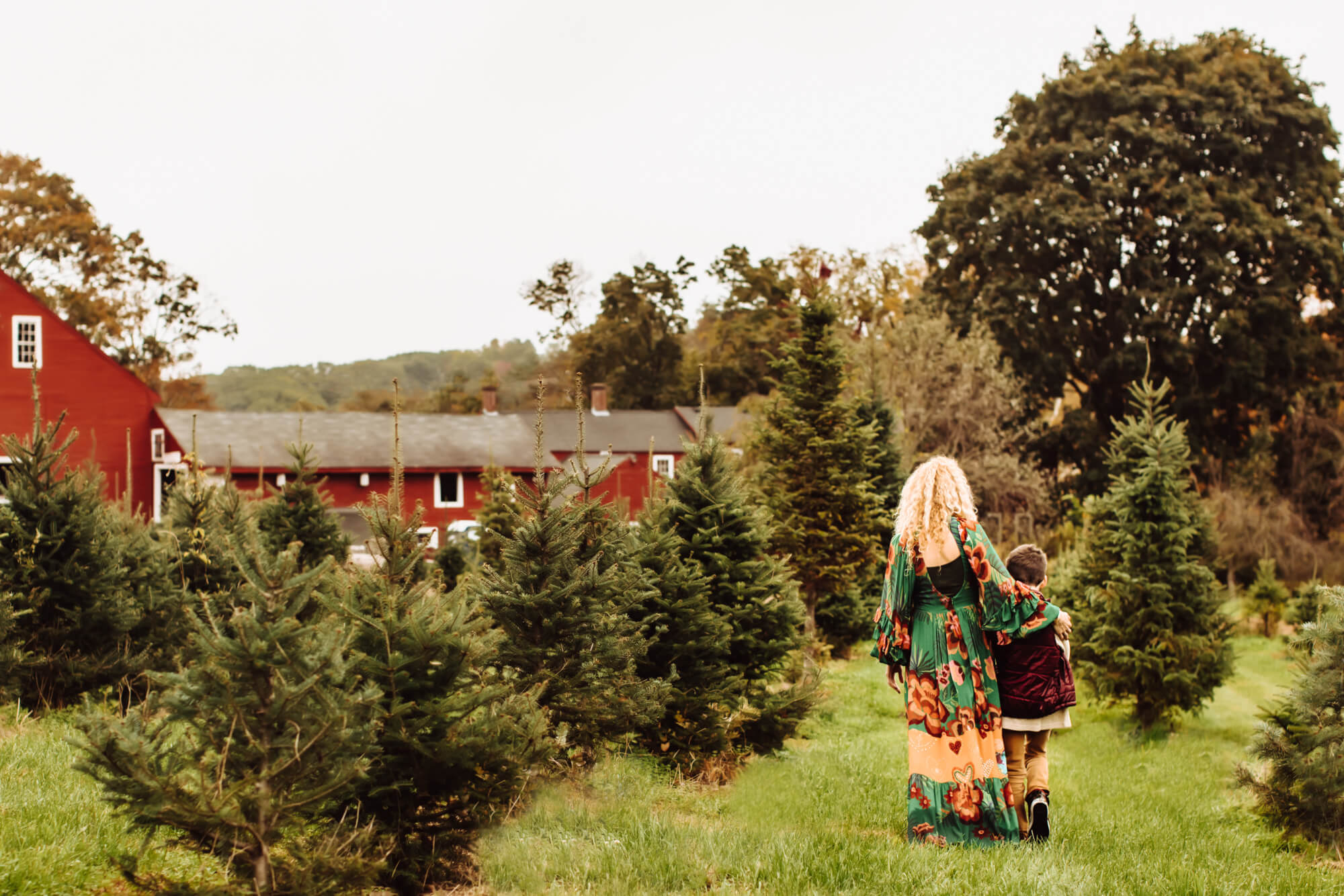 Tree Farm Andre Toro Photography Boston - tiny-107