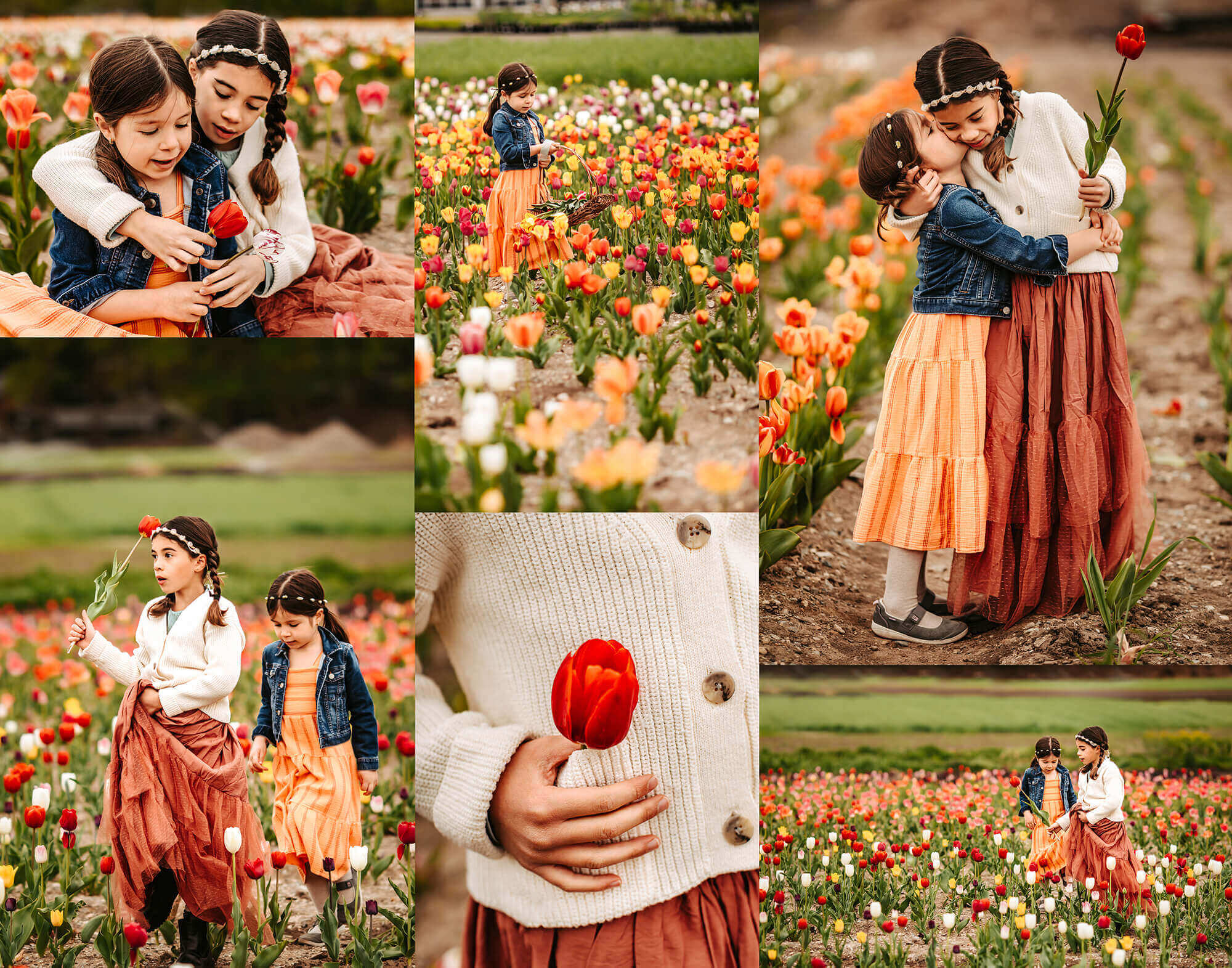Tulip-Spring-Flowers-Wilsons-Farm-Lexington (1) (1)