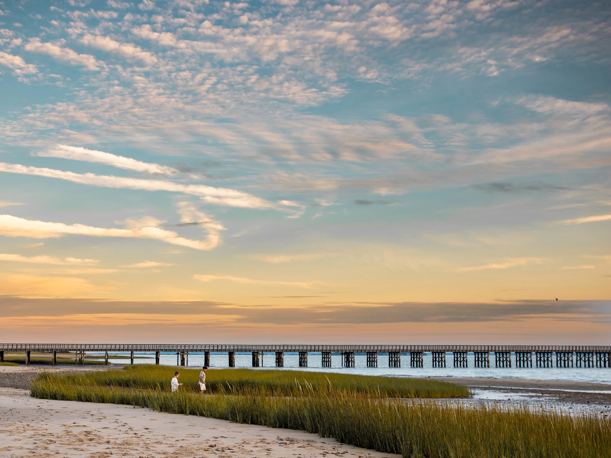 beach_landscape portrait with boys - Boston family photographer