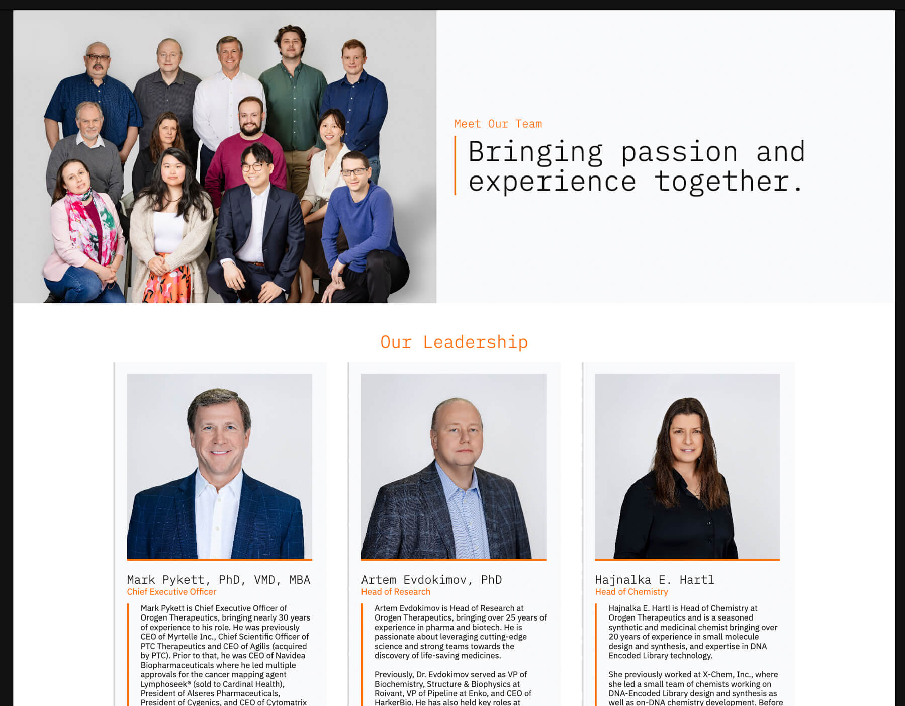 corporate headshots example, start up company