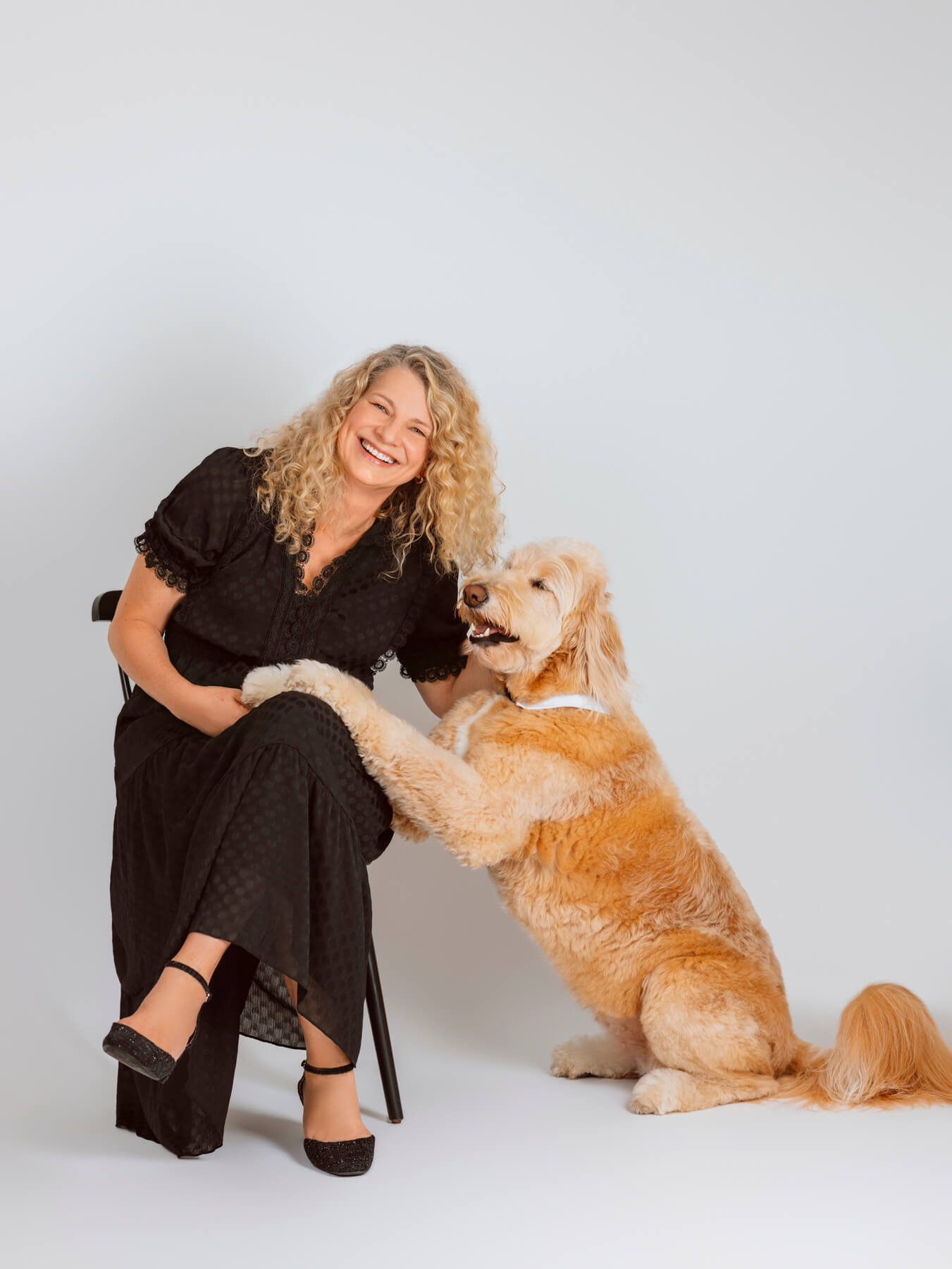 dog studio portraits boston lexington-6