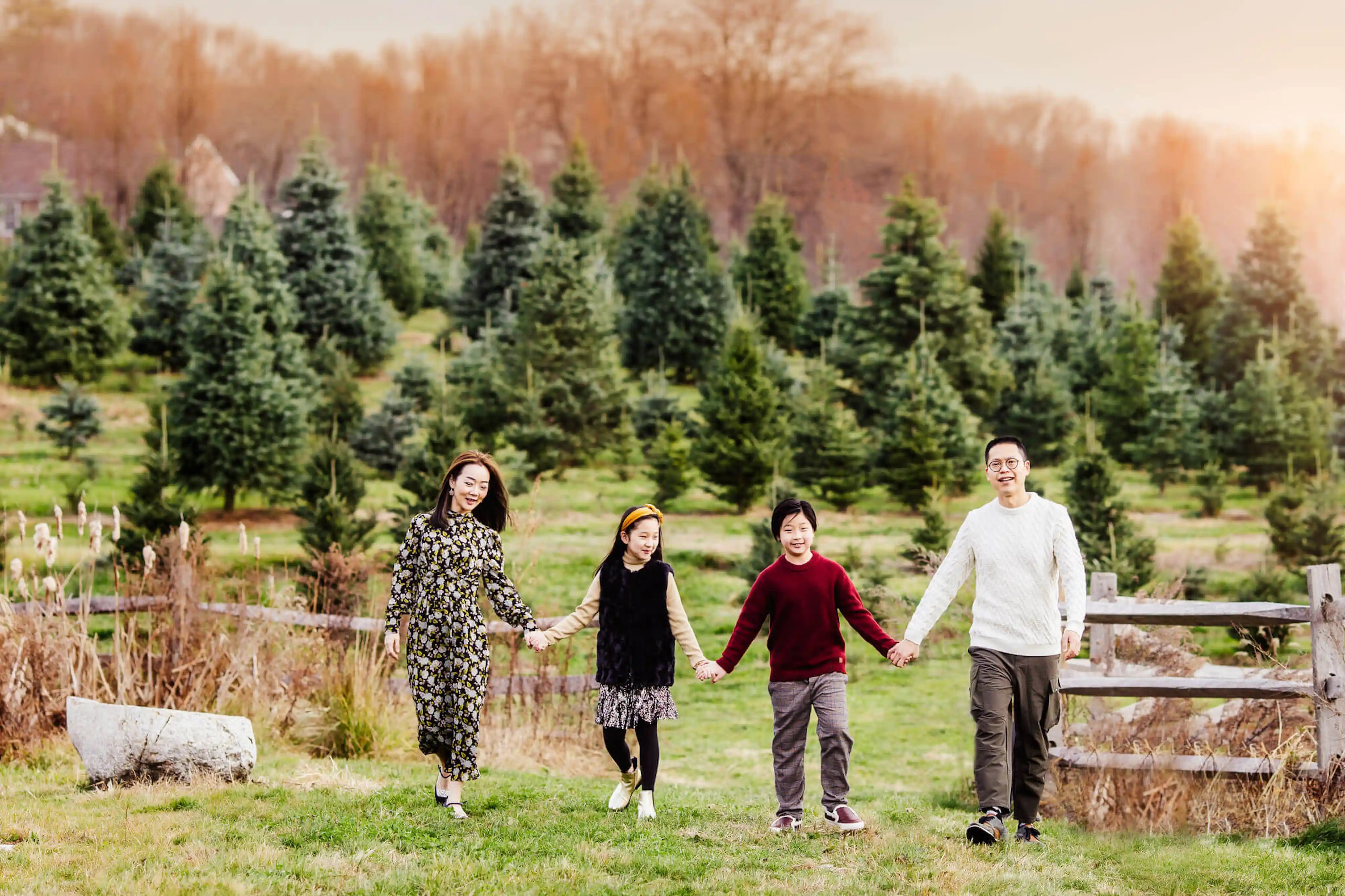 fall_family in tree farm - family photography in Boston