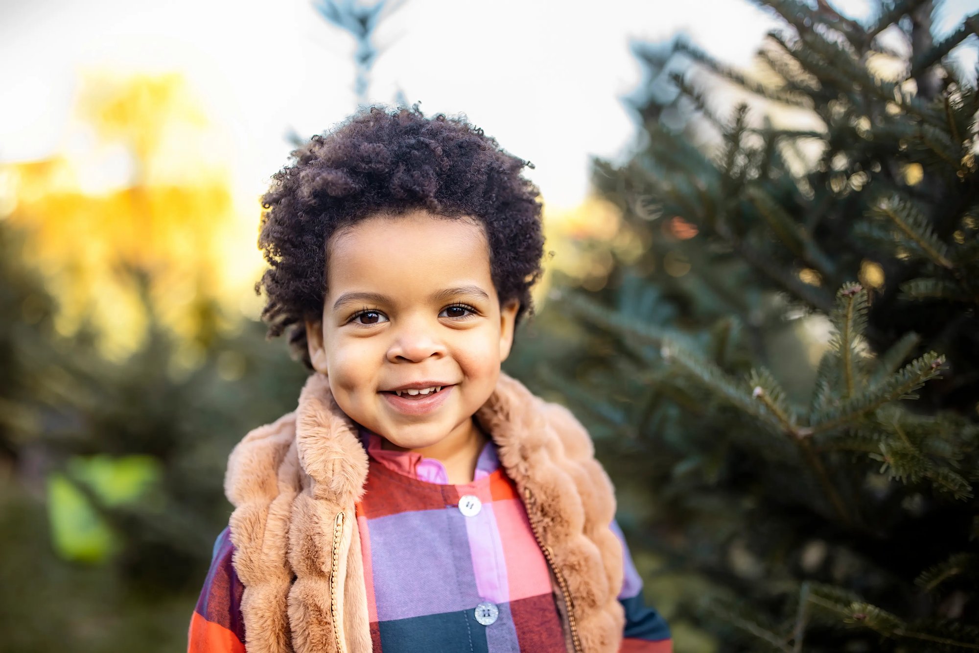 fall_young girl sunset portrait - tree farm photography