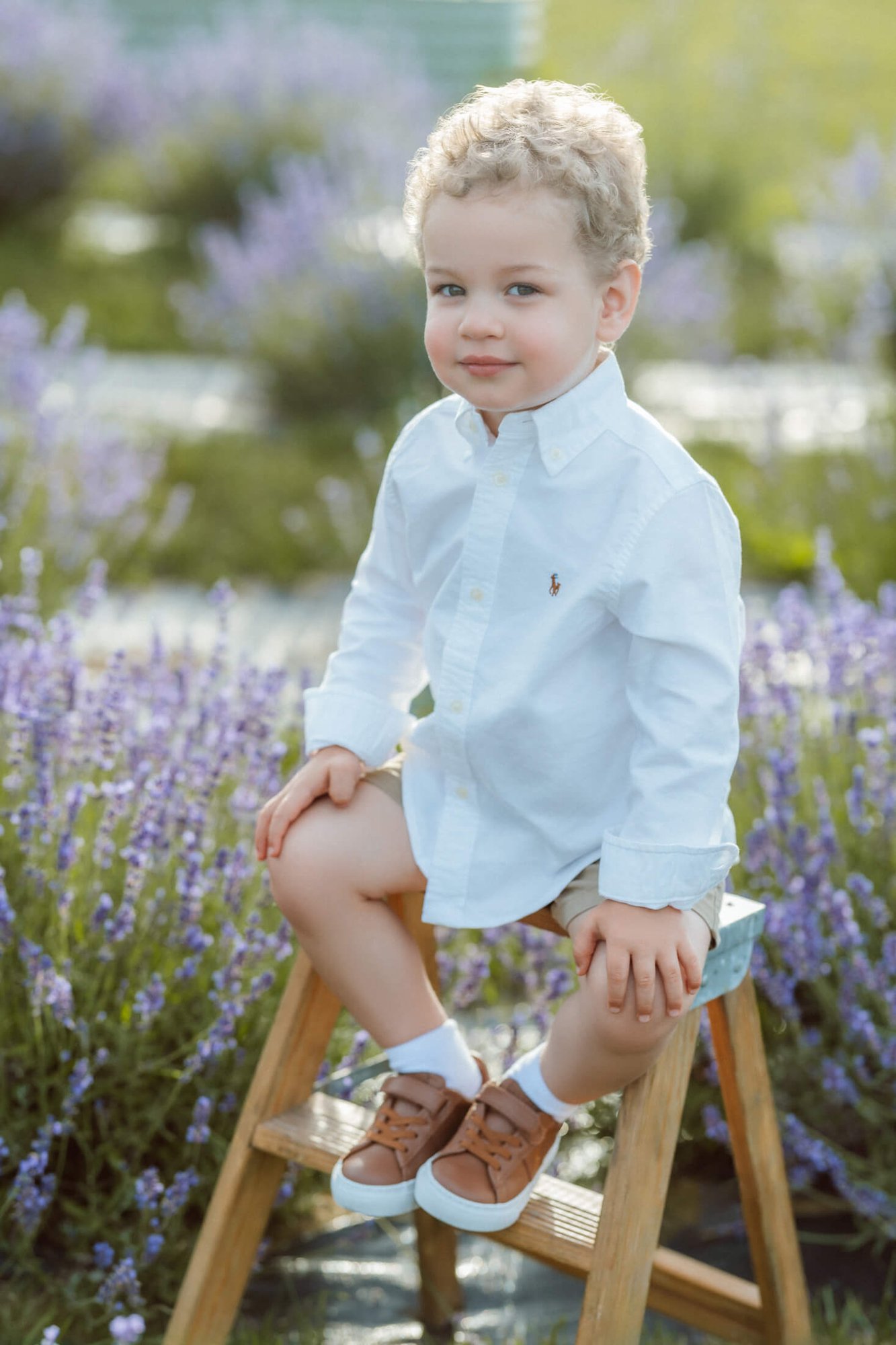 family photos at a lavender field in boston-3