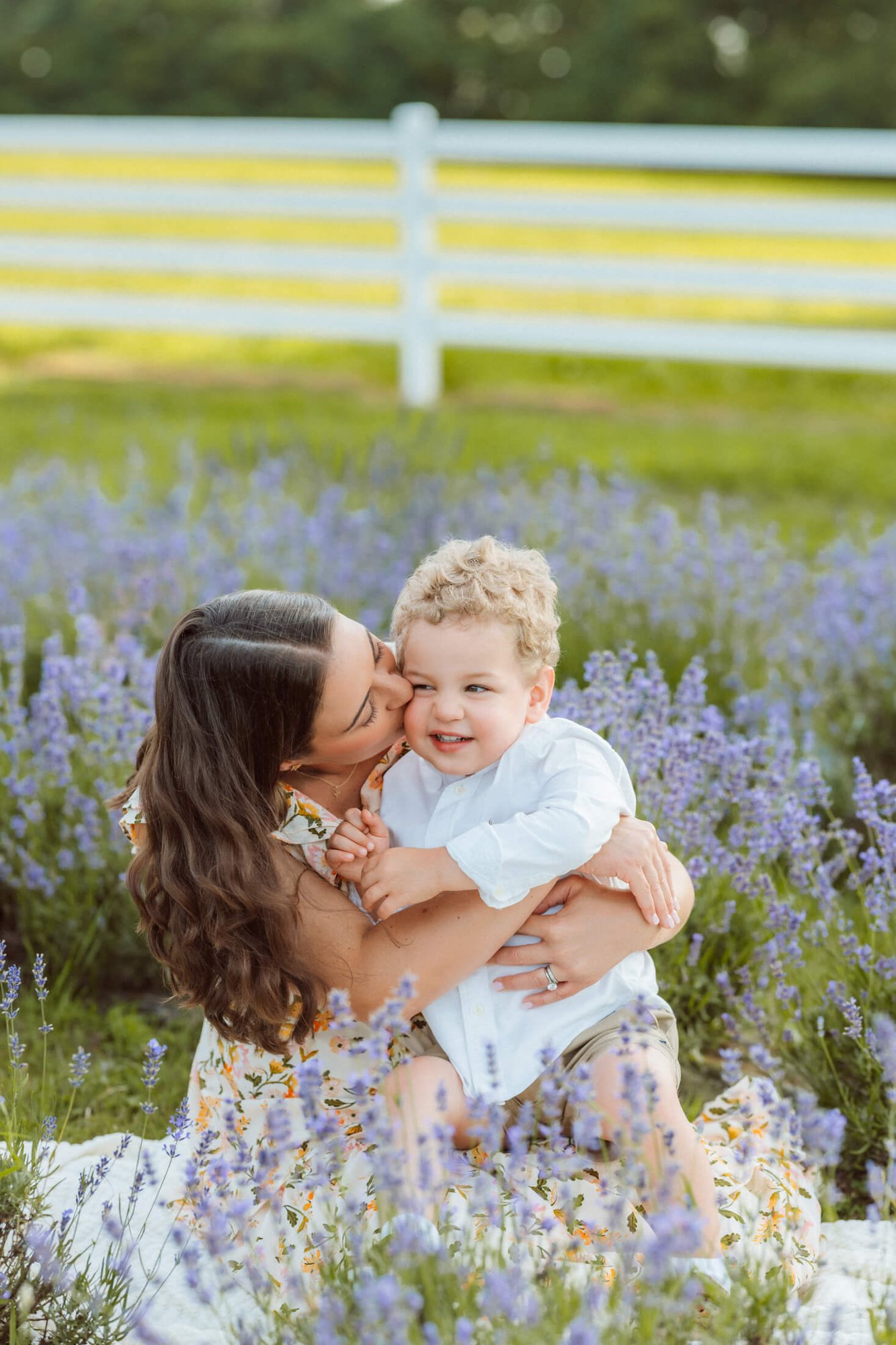 family photos at a lavender field in boston-4