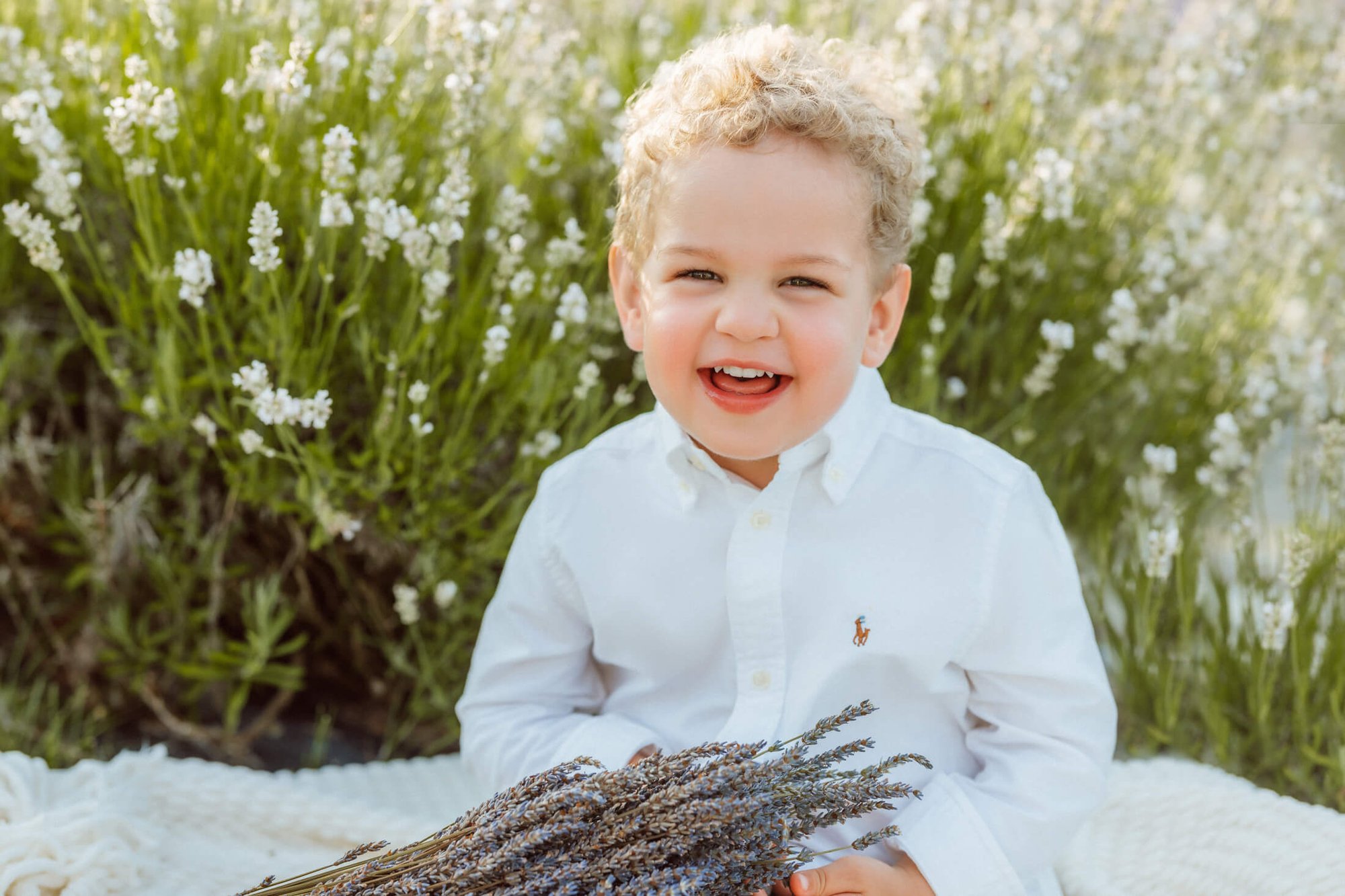 family photos at a lavender field in boston-5