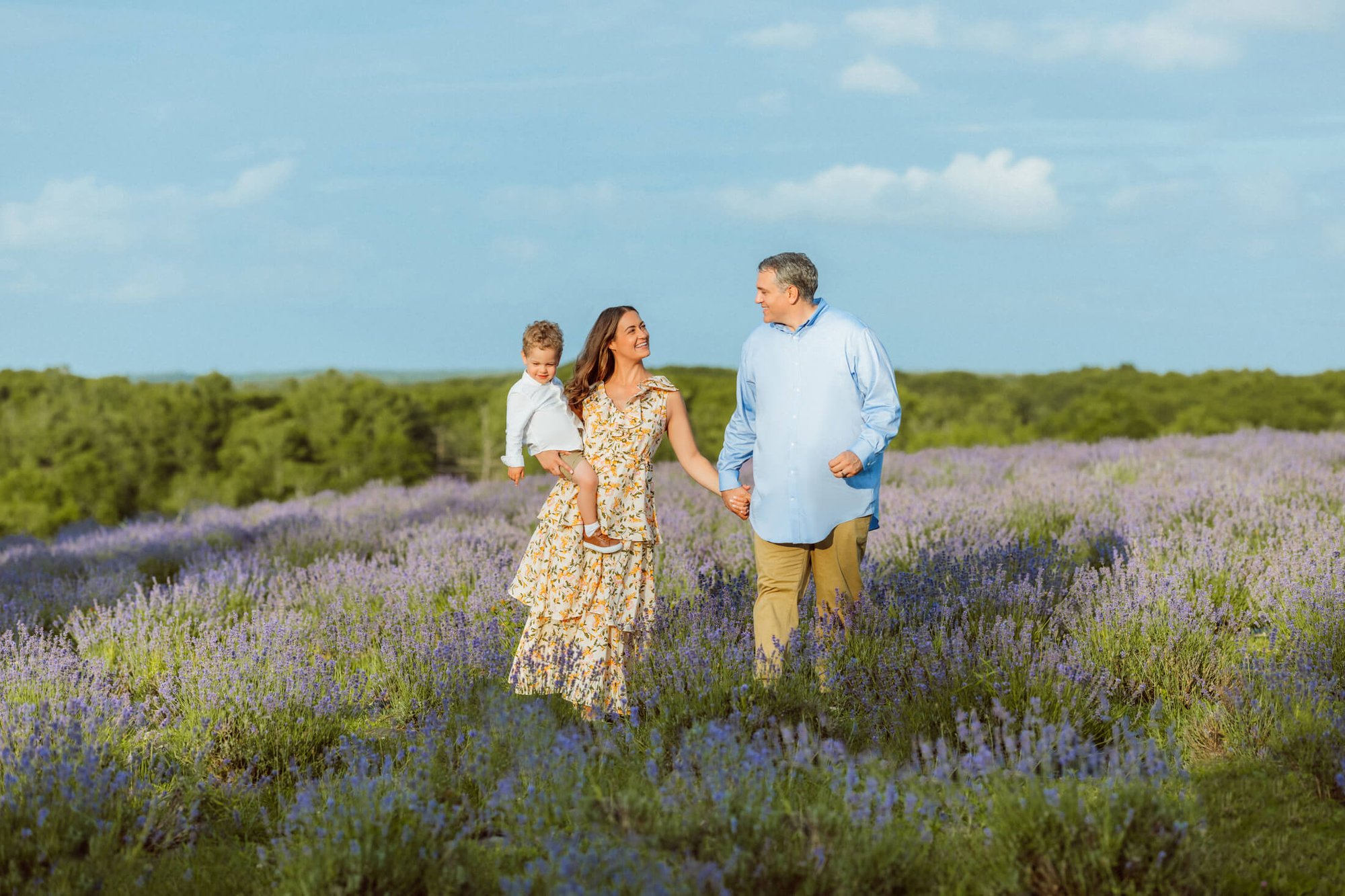 family photos at a lavender field in boston-6