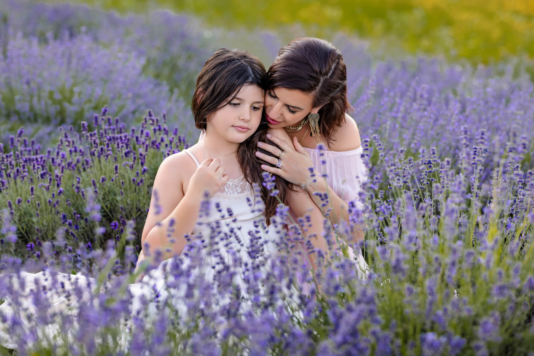 lavender field family portraits Boston MA-7