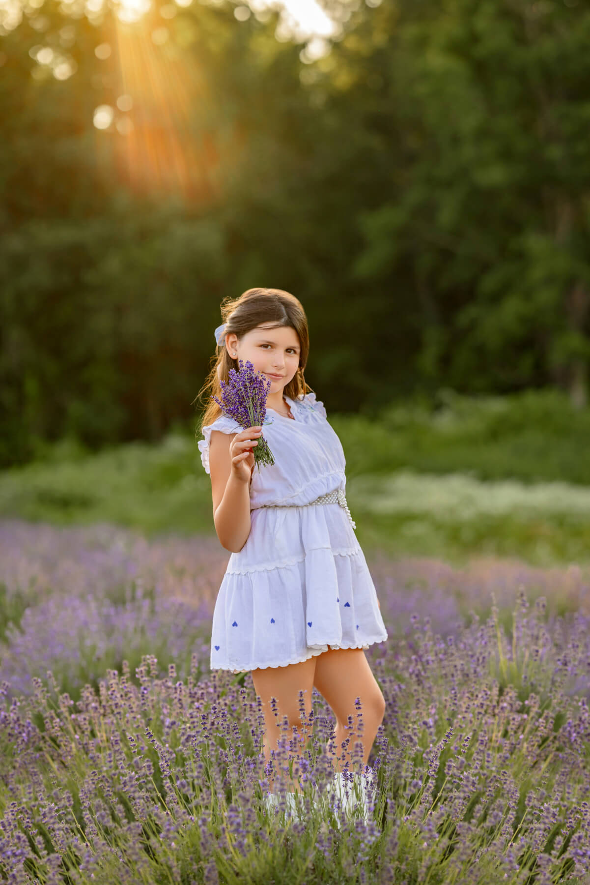 lavender field family portraits Boston-6 lavender field family portraits Boston-6