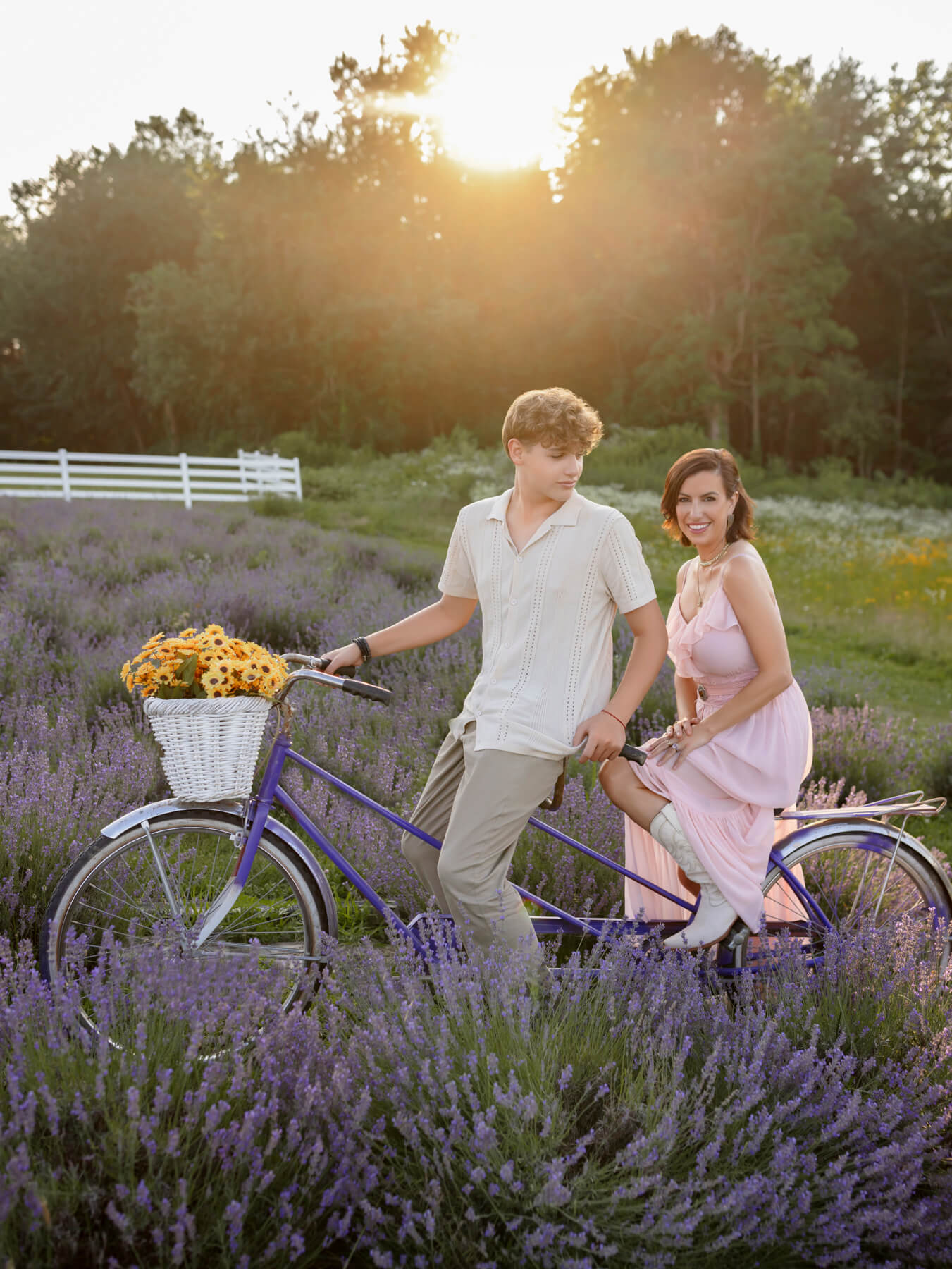 lavender field family portraits Boston