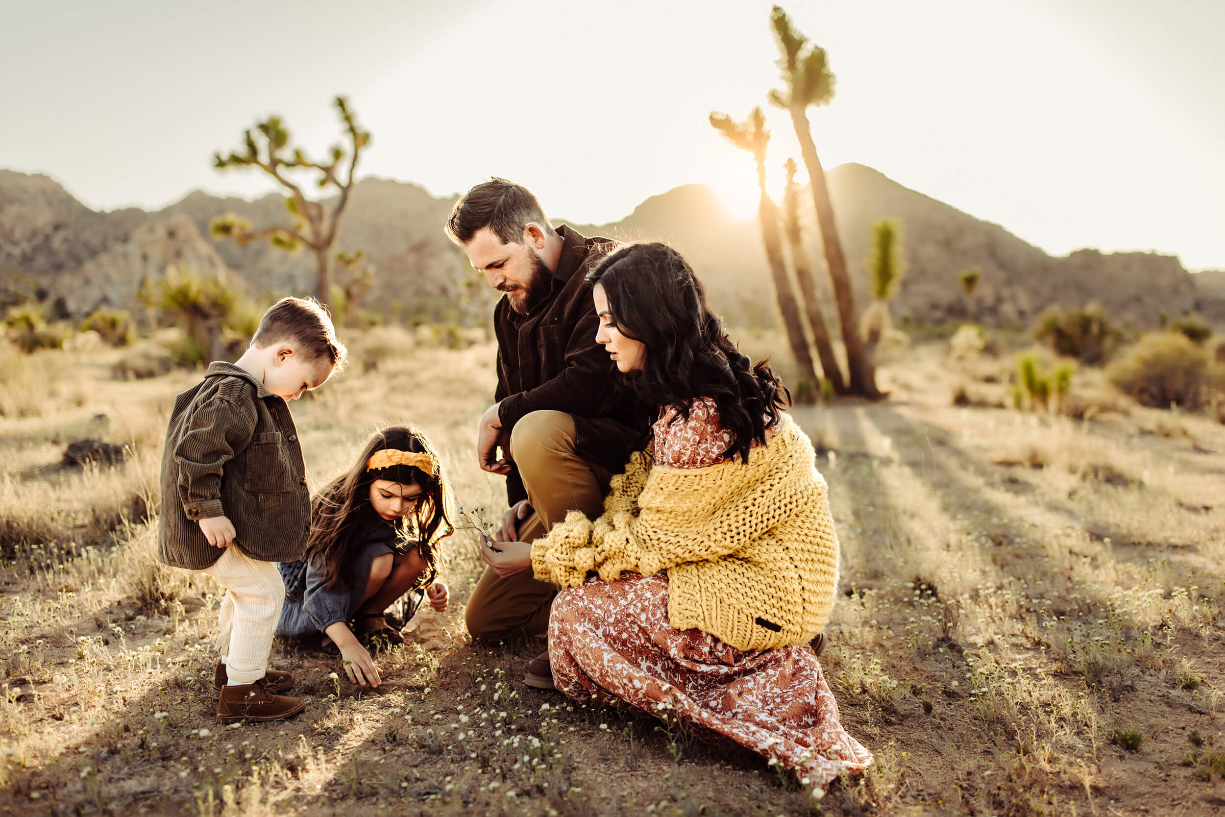 Joshua-Tree-California-Travel-Sessions